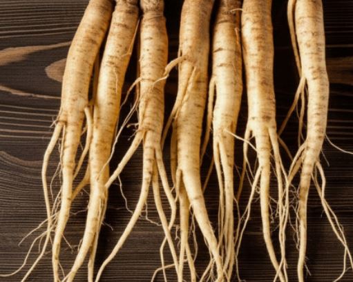 도라지 꽃 꿈의 의미