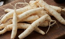 도라지 태몽 꿈의 의미