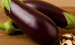 가지 꿈의 의미