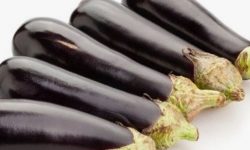 가지를 받는 꿈의 의미