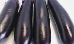 가지 먹는 꿈의 의미