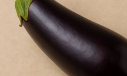 큰 가지 꿈의 의미