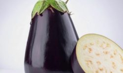 가지 태몽 꿈의 의미