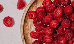 산딸기 따먹는 꿈의 의미