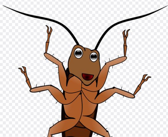 큰 바퀴벌레 꿈의 의미