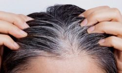 흰머리 꿈의 의미