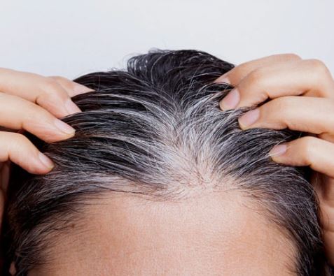 흰머리 꿈의 의미