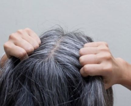 흰머리 염색하는 꿈의 의미