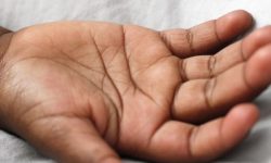 손 베이는 꿈의 의미