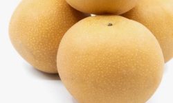 배 사는 꿈의 의미