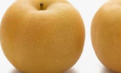 배 태몽 꿈의 의미