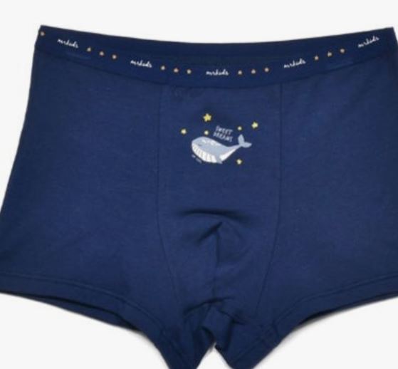 팬티 꿈의 의미