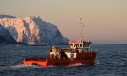 작은 배 타는 꿈의 의미