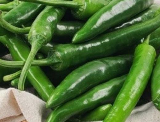 풋고추 따는 꿈의 의미