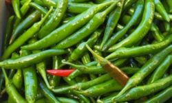 풋고추 태몽 꿈의 의미