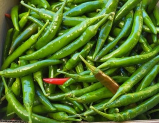 풋고추 태몽 꿈의 의미