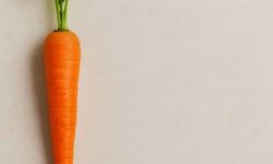 당근 사는 꿈의 의미