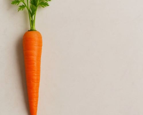 당근 사는 꿈의 의미