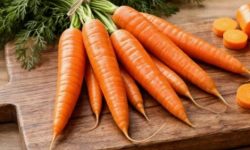 당근 캐는 꿈의 의미