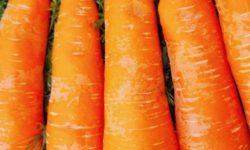 당근 먹는 꿈의 의미