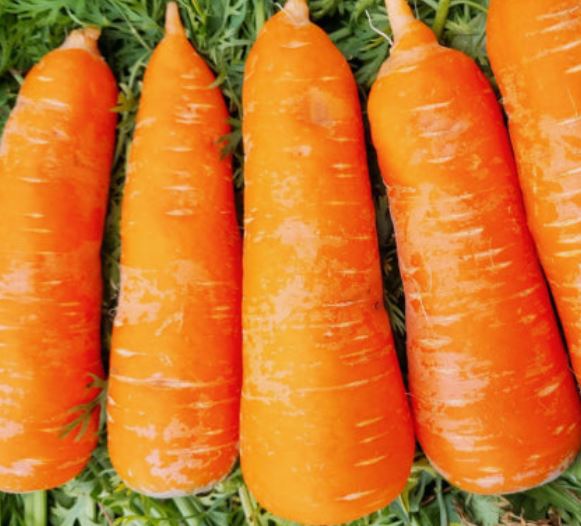 당근 먹는 꿈의 의미