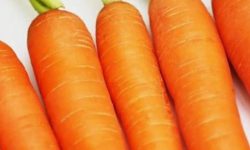 당근 태몽 꿈의 의미