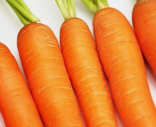 당근 태몽 꿈의 의미