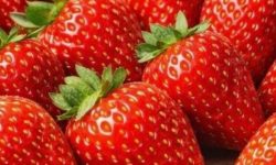 딸기 먹는 꿈의 의미