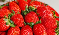 딸기 따는 꿈의 의미