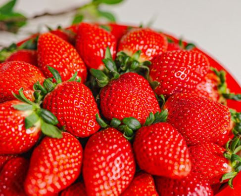 딸기 따는 꿈의 의미