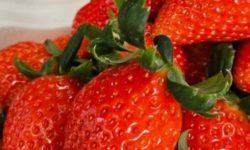 딸기 사는 꿈의 의미