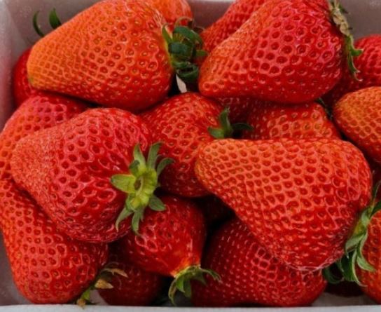 딸기 받는 꿈의 의미