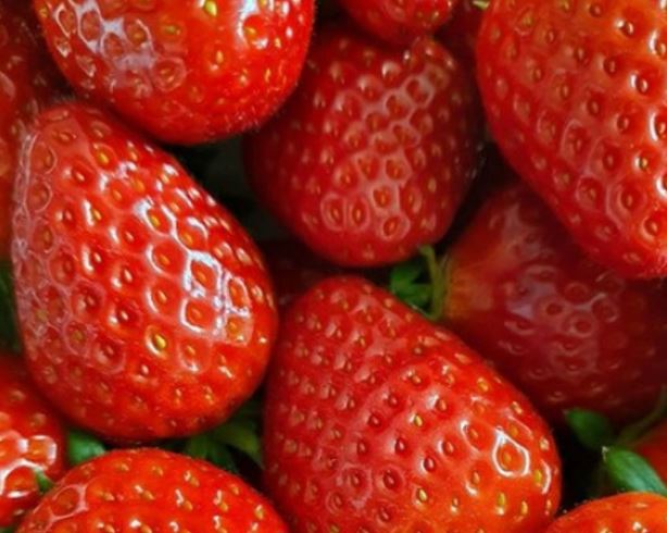 딸기 태몽 꿈의 의미