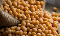 콩 받는 꿈의 의미