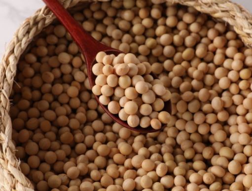 콩 줍는 꿈의 의미