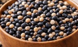 콩 심는 꿈의 의미