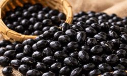 검은콩 먹는 꿈의 의미