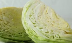 양배추 꿈의 의미