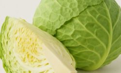 양배추 먹는 꿈의 의미