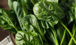 시금치 꿈의 의미