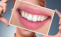 새 이빨이 나오는 꿈의 의미