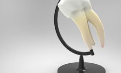 윗니 빼는 꿈의 의미