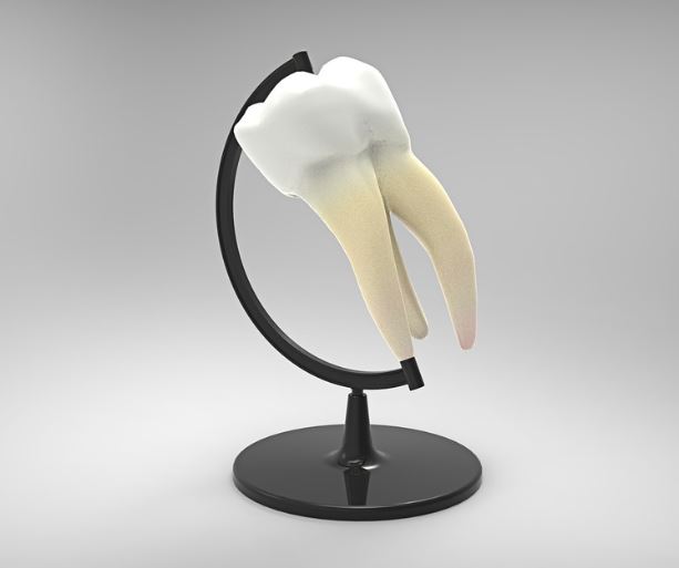 아래 어금니 빼는 꿈