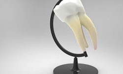 어금니 썩는 꿈의 의미