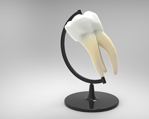 어금니 썩는 꿈의 의미