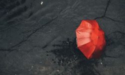우산을 잃어버리는 꿈의 의미