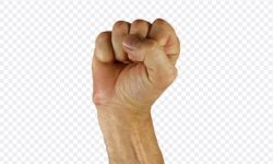 손가락 잘리는 꿈의 의미