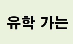유학 가는 꿈의 의미