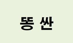 똥 싼 꿈의 의미