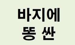 바지에 똥 싼 꿈의 의미는?(해몽, 태몽, 재물, 운세) 바지에 똥 싼 꿈의 의미